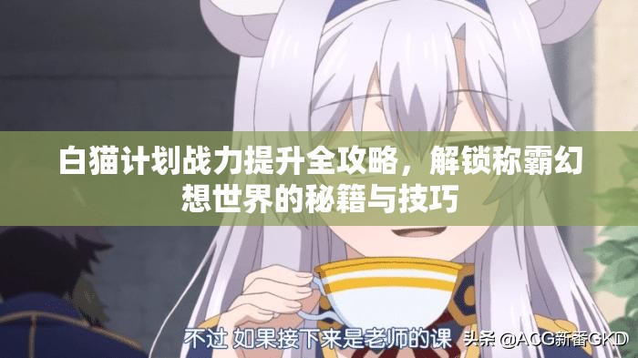 白猫计划战力提升全攻略，解锁称霸幻想世界的秘籍与技巧