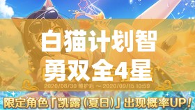 白猫计划智勇双全4星剑士昊（荷欧），军师少年闪耀登场