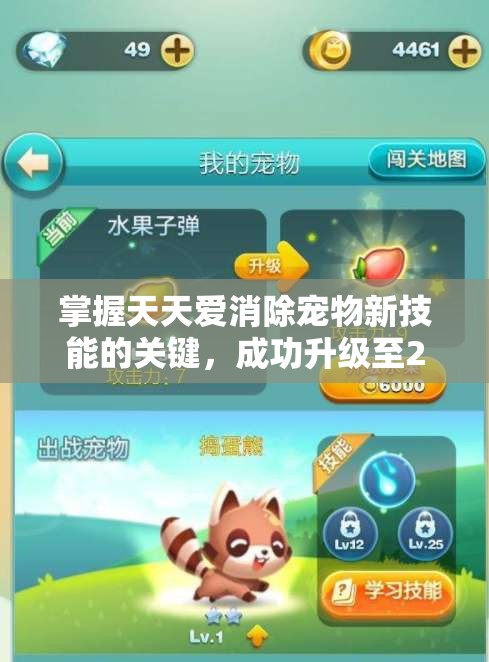 掌握天天爱消除宠物新技能的关键，成功升级至25级解锁全新能力