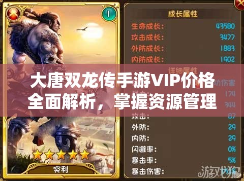 大唐双龙传手游VIP价格全面解析，掌握资源管理艺术，提升游戏竞争力