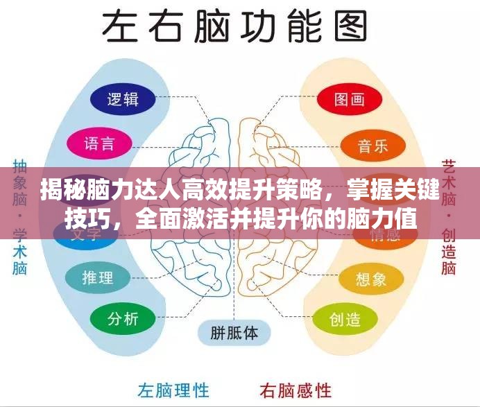 揭秘脑力达人高效提升策略，掌握关键技巧，全面激活并提升你的脑力值