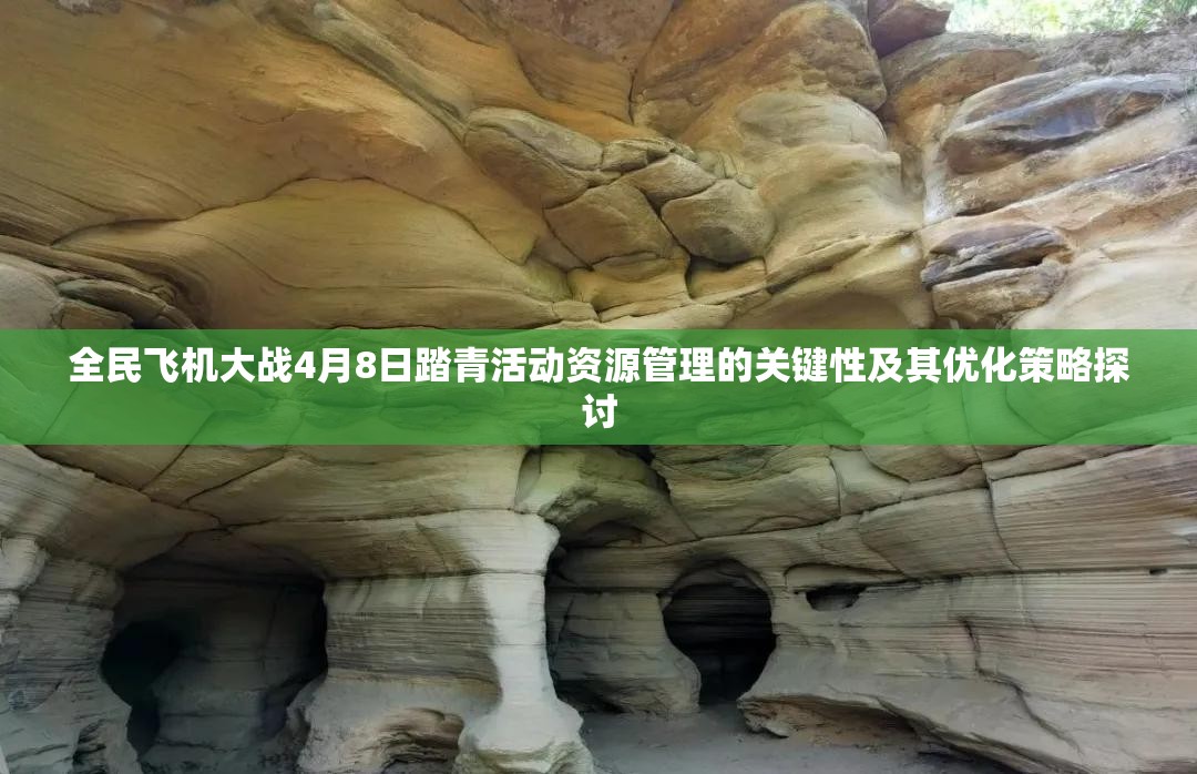 全民飞机大战4月8日踏青活动资源管理的关键性及其优化策略探讨