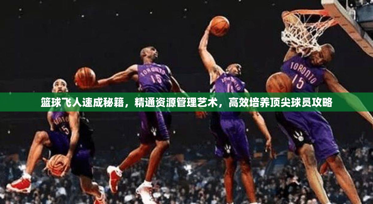 篮球飞人速成秘籍，精通资源管理艺术，高效培养顶尖球员攻略