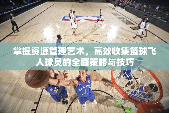 掌握资源管理艺术，高效收集篮球飞人球员的全面策略与技巧