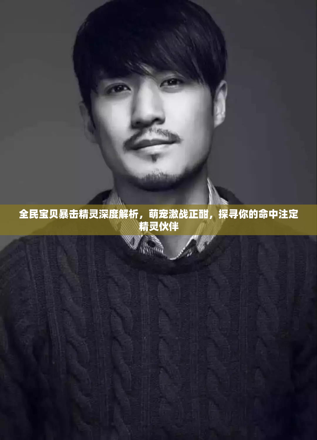 全民宝贝暴击精灵深度解析，萌宠激战正酣，探寻你的命中注定精灵伙伴