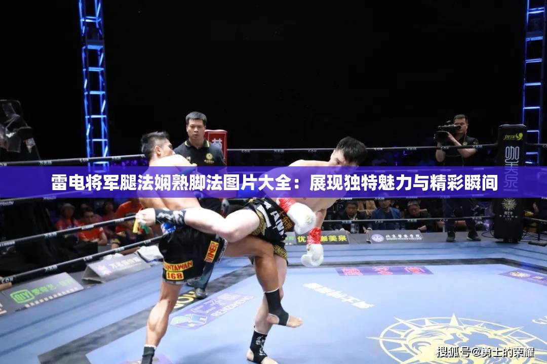 雷电将军腿法娴熟脚法图片大全：展现独特魅力与精彩瞬间