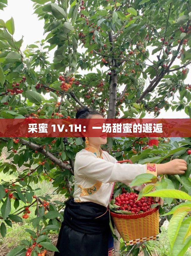 采蜜 1V.1H：一场甜蜜的邂逅