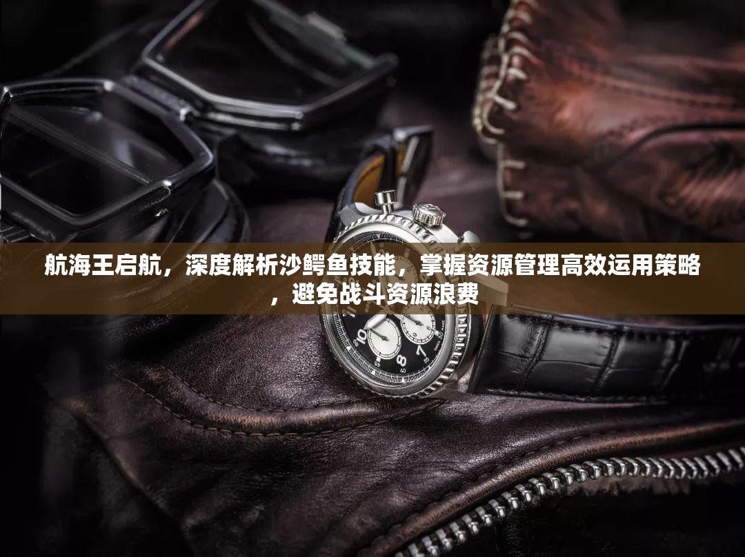 航海王启航，深度解析沙鳄鱼技能，掌握资源管理高效运用策略，避免战斗资源浪费
