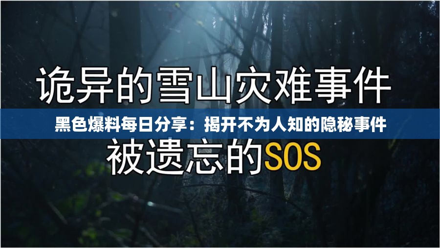 黑色爆料每日分享：揭开不为人知的隐秘事件