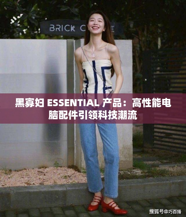 黑寡妇 ESSENTIAL 产品：高性能电脑配件引领科技潮流