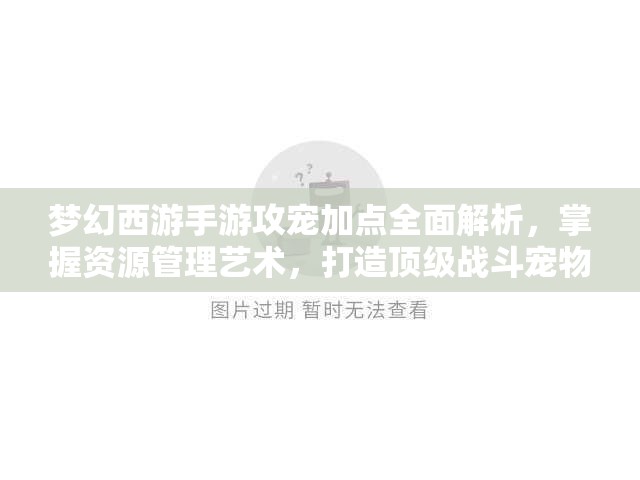 梦幻西游手游攻宠加点全面解析，掌握资源管理艺术，打造顶级战斗宠物