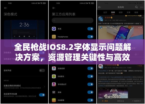 全民枪战IOS8.2字体显示问题解决方案，资源管理关键性与高效实施策略