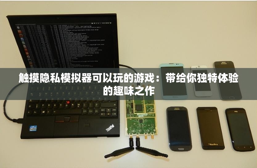 触摸隐私模拟器可以玩的游戏：带给你独特体验的趣味之作