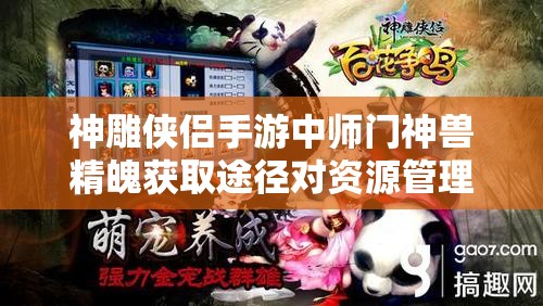 神雕侠侣手游中师门神兽精魄获取途径对资源管理的影响及高效策略