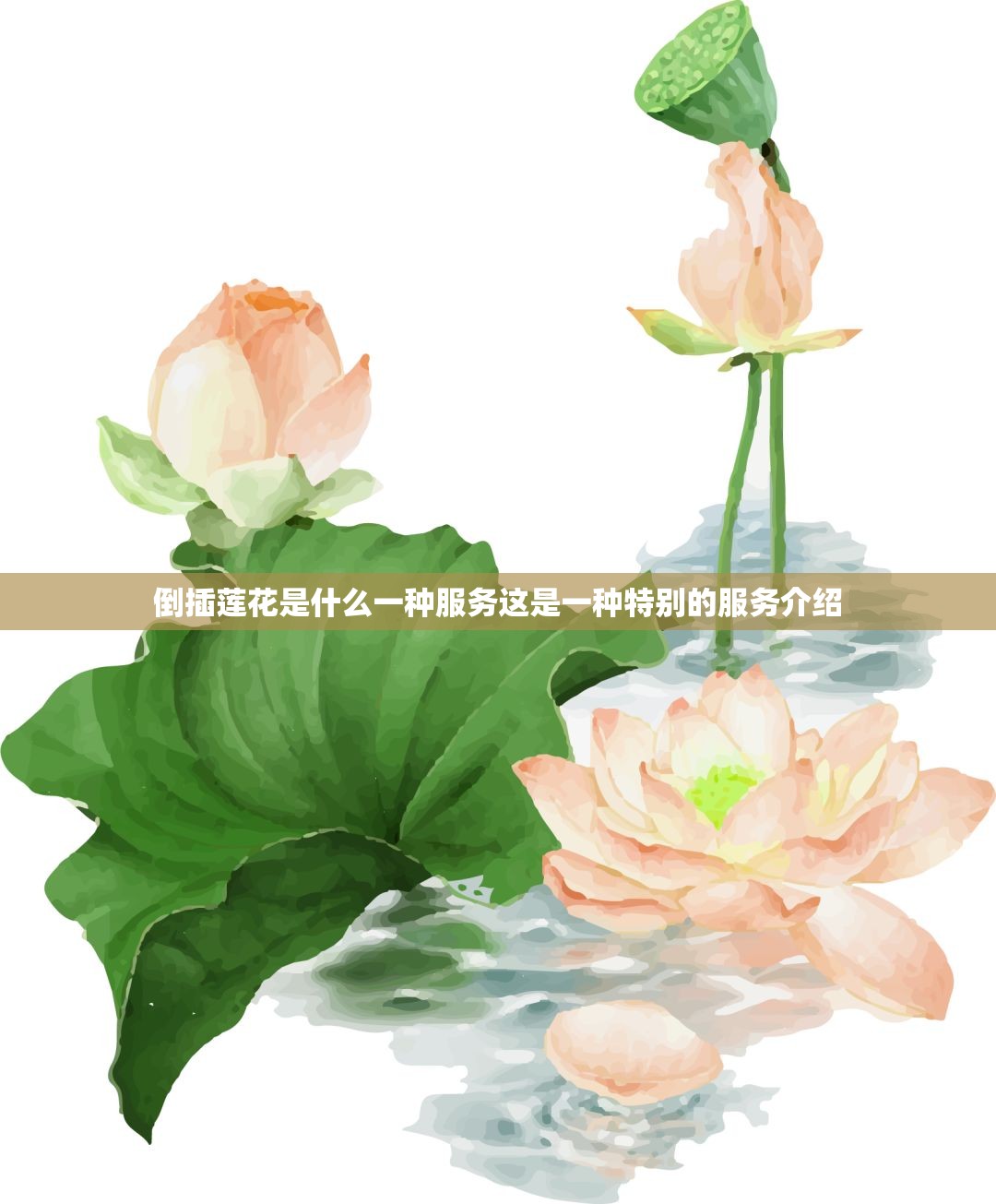 倒插莲花是什么一种服务这是一种特别的服务介绍