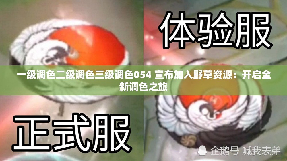 一级调色二级调色三级调色054 宣布加入野草资源：开启全新调色之旅