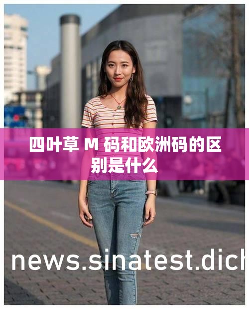 四叶草 M 码和欧洲码的区别是什么