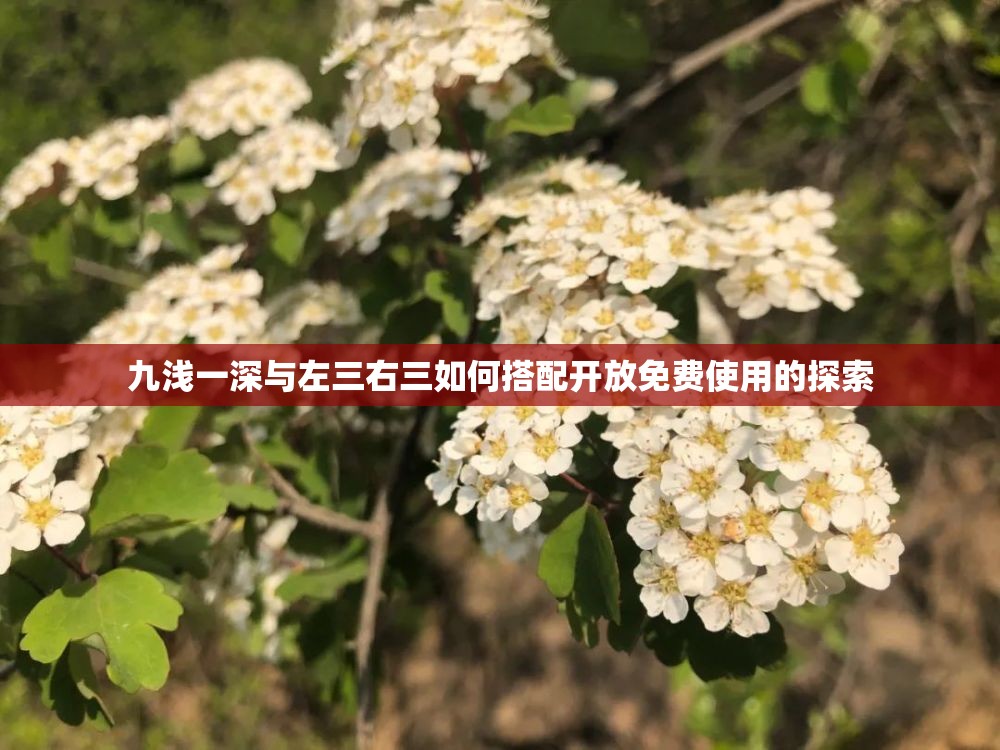 九浅一深与左三右三如何搭配开放免费使用的探索