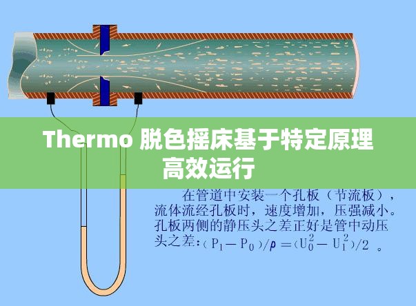 Thermo 脱色摇床基于特定原理高效运行