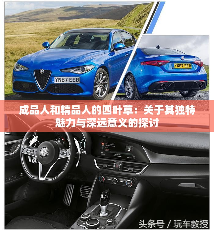 成品人和精品人的四叶草：关于其独特魅力与深远意义的探讨