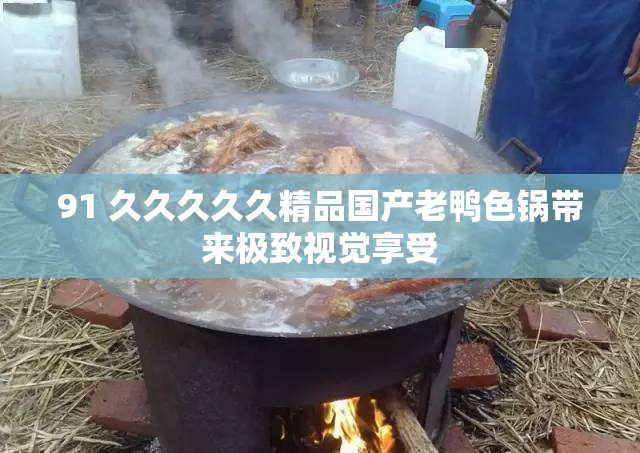 91 久久久久久精品国产老鸭色锅带来极致视觉享受