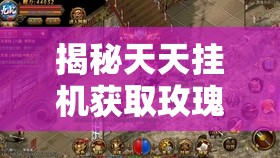 揭秘天天挂机获取玫瑰花秘籍及其不为人知的神奇功效与用途