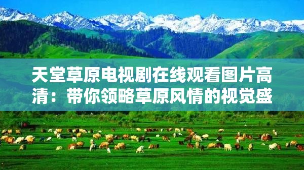 天堂草原电视剧在线观看图片高清：带你领略草原风情的视觉盛宴