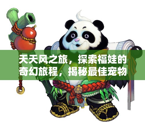 天天风之旅，探索福娃的奇幻旅程，揭秘最佳宠物搭档的奇妙组合！