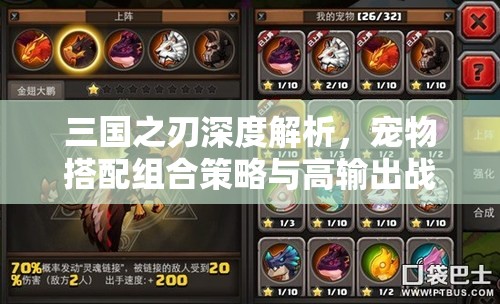 三国之刃深度解析，宠物搭配组合策略与高输出战斗技巧揭秘