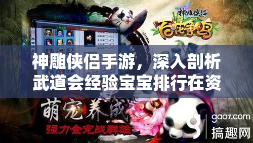神雕侠侣手游，深入剖析武道会经验宝宝排行在资源管理中的核心作用与优化策略