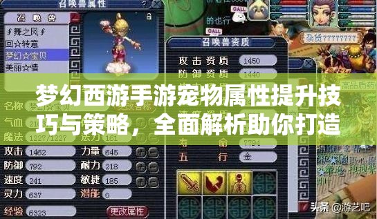 梦幻西游手游宠物属性提升技巧与策略，全面解析助你打造顶级宠物