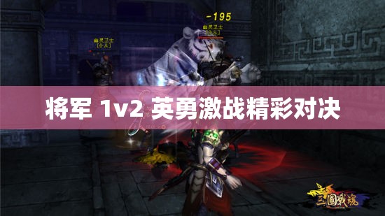 将军 1v2 英勇激战精彩对决