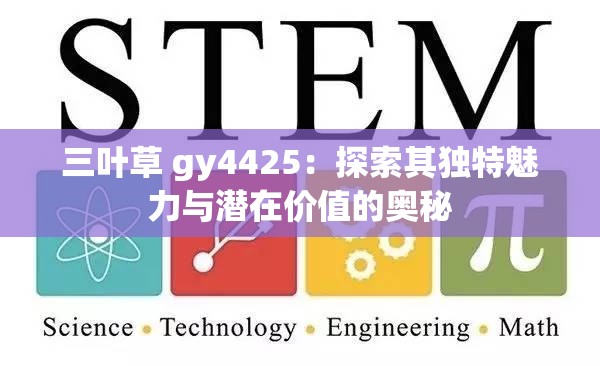 三叶草 gy4425：探索其独特魅力与潜在价值的奥秘