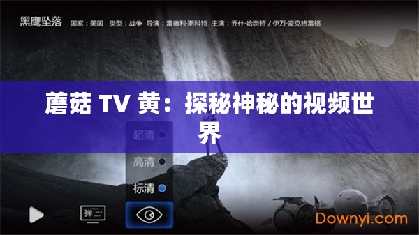 蘑菇 TV 黄：探秘神秘的视频世界