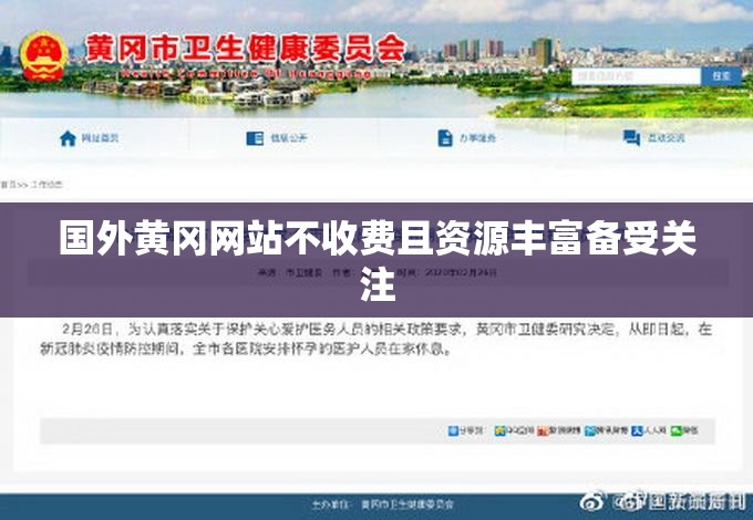 国外黄冈网站不收费且资源丰富备受关注