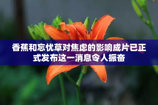 香蕉和忘忧草对焦虑的影响成片已正式发布这一消息令人振奋