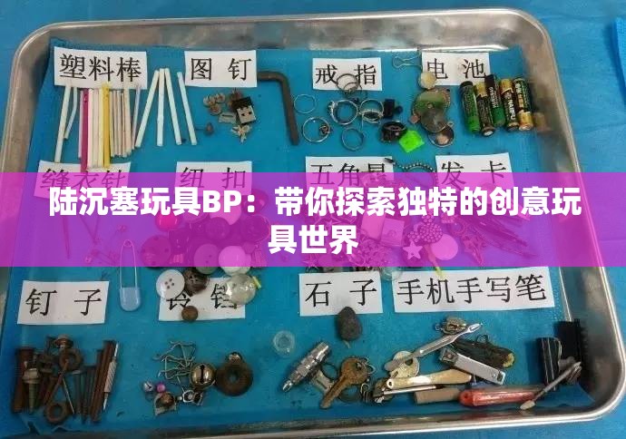 陆沉塞玩具BP：带你探索独特的创意玩具世界