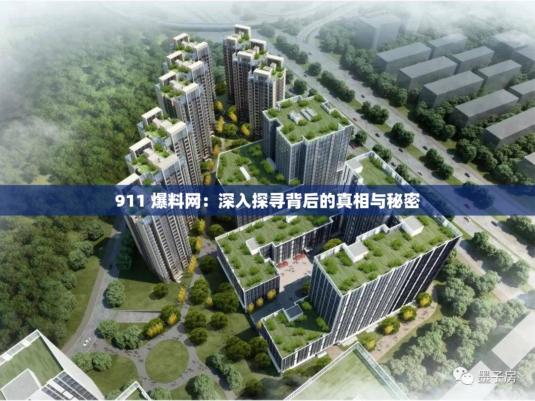 911 爆料网：深入探寻背后的真相与秘密