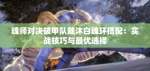 魂师对决破甲队戴沐白魂环搭配：实战技巧与最优选择