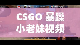 CSGO 暴躁小老妹视频已取消收费通道：爷青结