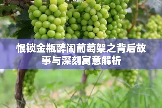 恨锁金瓶醉闹葡萄架之背后故事与深刻寓意解析