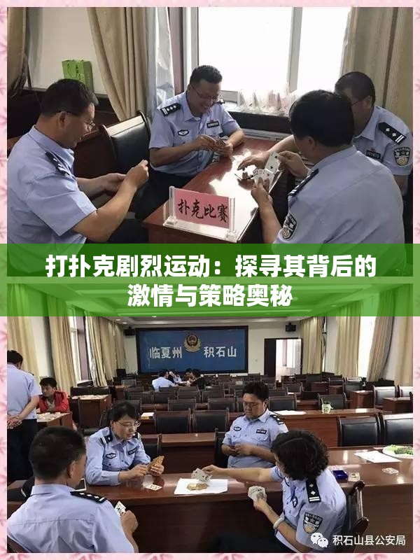 打扑克剧烈运动：探寻其背后的激情与策略奥秘