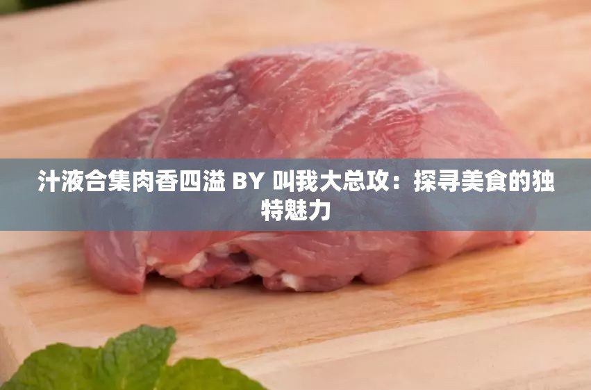 汁液合集肉香四溢 BY 叫我大总攻：探寻美食的独特魅力
