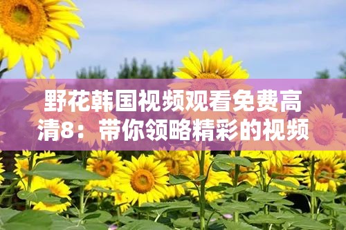 野花韩国视频观看免费高清8：带你领略精彩的视频世界