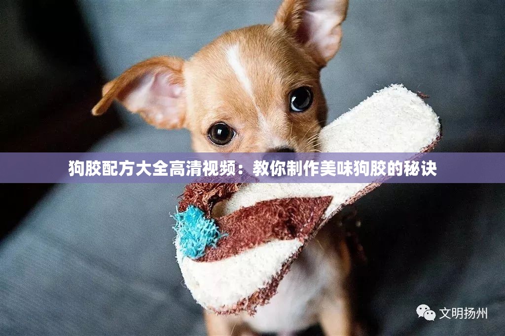 狗胶配方大全高清视频：教你制作美味狗胶的秘诀