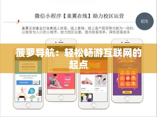 菠萝导航：轻松畅游互联网的起点