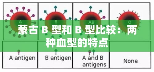 蒙古 B 型和 B 型比较：两种血型的特点