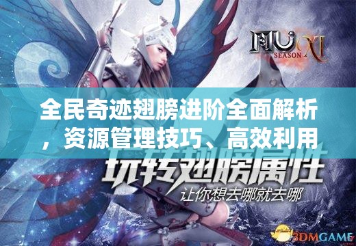 全民奇迹翅膀进阶全面解析，资源管理技巧、高效利用策略及避免浪费指南