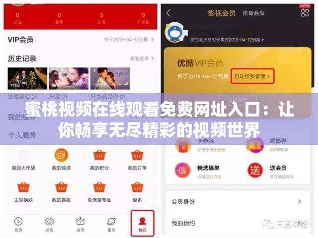 蜜桃视频在线观看免费网址入口：让你畅享无尽精彩的视频世界
