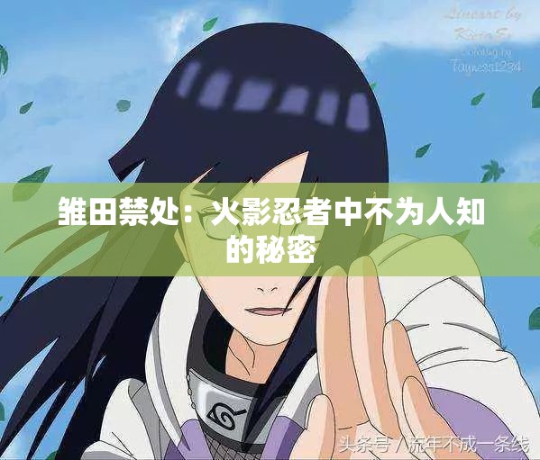 雏田禁处：火影忍者中不为人知的秘密